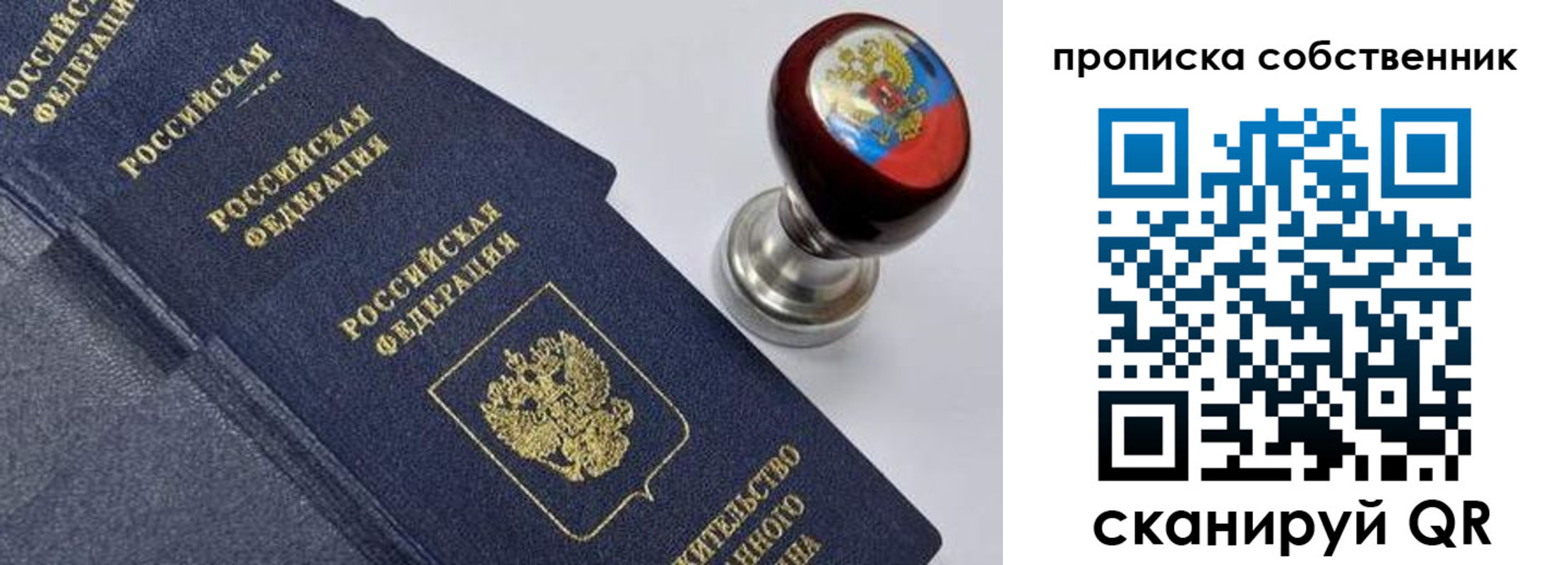 прописка в Ельне